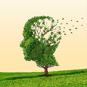 Gehirnbereiche aktivieren Gehirnbereiche aktivieren